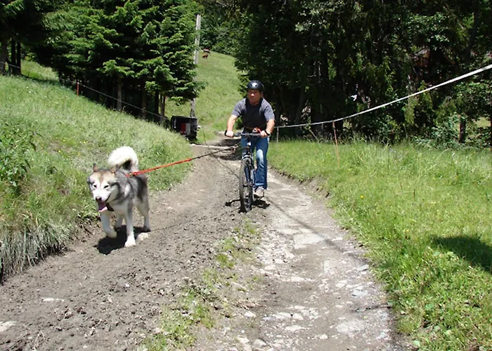 Le Relax - Centre Lejlighed *